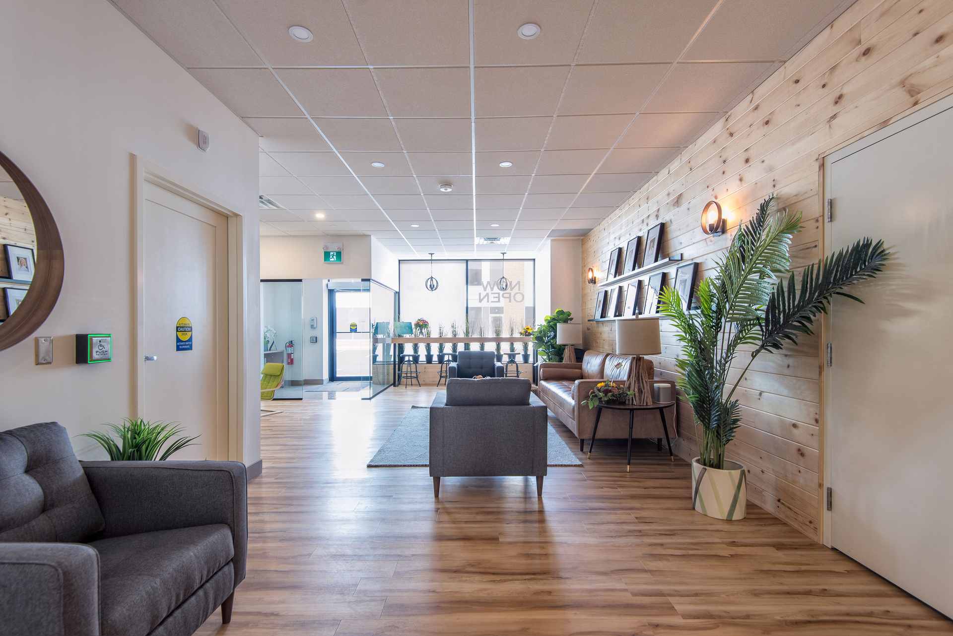 Willow Dental Associates spacious waiting room with plants and wood slat accent wall in Mississauga, ON