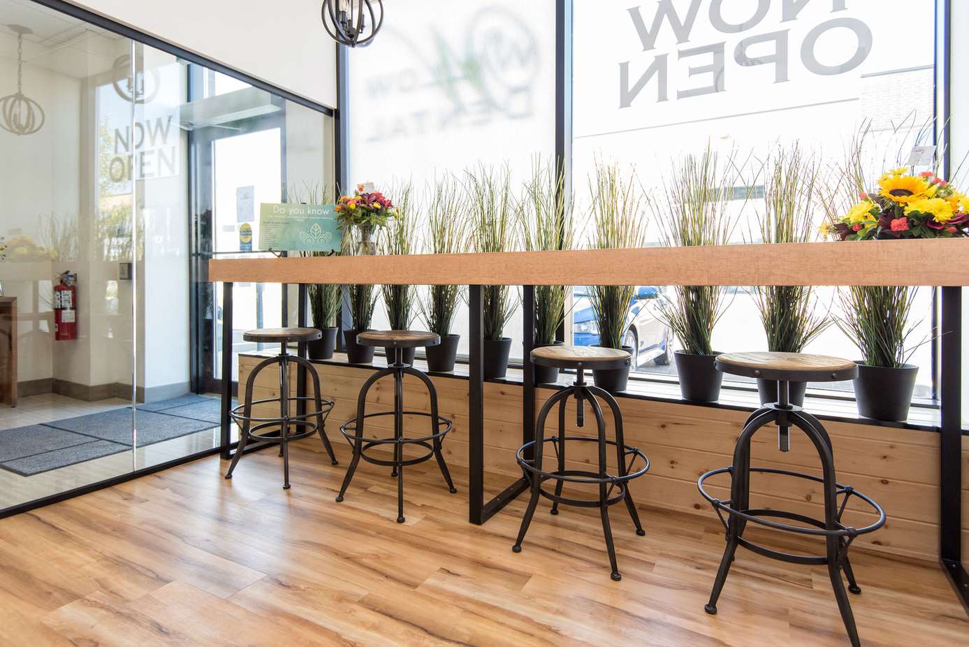 Willow Dental Associates window counter bar seating with stools and plants in Mississauga, ON